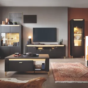 יחידת קיר לסלון NORICA